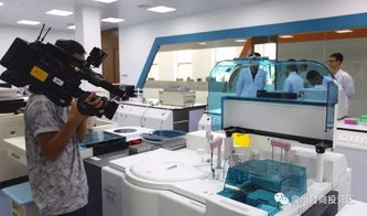 驚艷登場(chǎng)！泉州版迪士尼即將亮相，預(yù)計(jì)最快2019年開放，未來(lái)片區(qū)聚焦針紡織品銷售