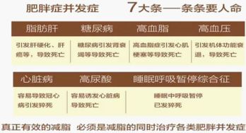 巴比兔減肥餅干價格與正規(guī)性全面解析